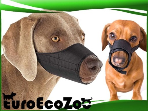 NÁhubok PRE PSA, MAČKU YORKY, VODÍTKO