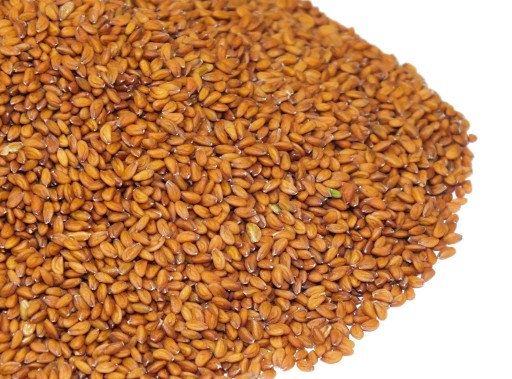 Semená na klíčky Cress 500 g od Skworc