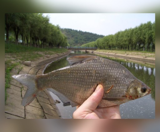 Podpera Mistrall Luminus V, vnútorná šírka 6cm