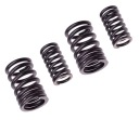 SUZUKI VENTILOVÉ PRUŽINY VERZIA B MOTOR GN125 4T