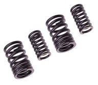 SUZUKI VENTILOVÉ PRUŽINY VERZIA B MOTOR GN125 4T
