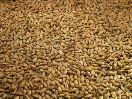 MNÍCHOVÝ slad typ I 16 EBC Crisp 1kg