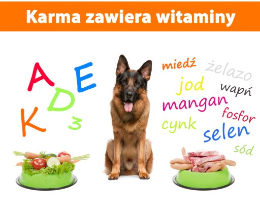 INSTANTNÉ CESTOVINOVÉ KRMIVO PRE PSOV, MÄSO, ZELENINA