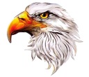 Nálepka Nálepka na auto motocykel skúter Eagle Eagle Head Beak Bird