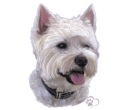 NÁLEPKA NÁLEPKA DOG PRECISION DOG WEST UV