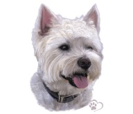 NÁLEPKA NÁLEPKA DOG PRECISION DOG WEST UV