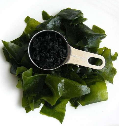 WAKAME riasa 100g - SUŠENÉ MORSKÉ RIASY