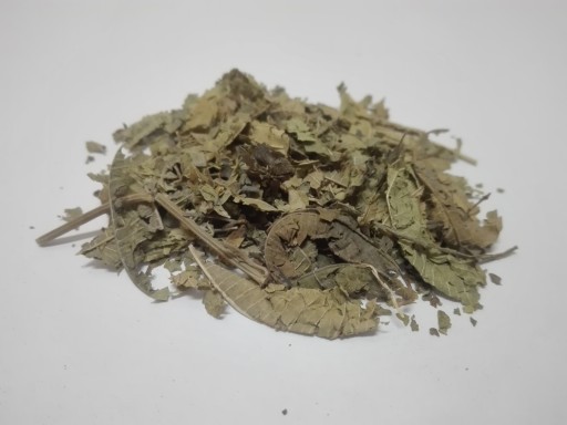 Citrónová verbena Lippia list -200g- Dary Podlasie
