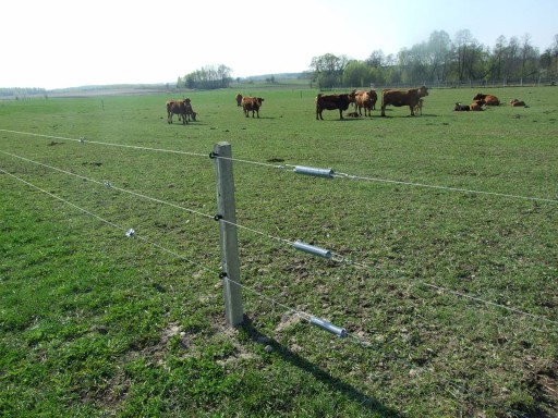 PASTUCHOVÁ NAPÍNACIA PRUŽINA POZINKOVANÁ S DRÔTOM 2,5 MM
