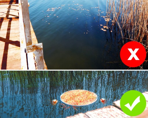 PLÁVAJÚCE KRMIVO KRMIVO PRE RYBY KRMIVO PRE KOI KAPRY