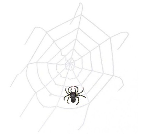 Veľká pavučina na Halloween + pavúk