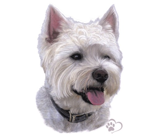 NÁLEPKA NÁLEPKA DOG PRECISION DOG WEST UV