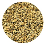 RED ALE Viking Malt sladové 1kg domáce pivo