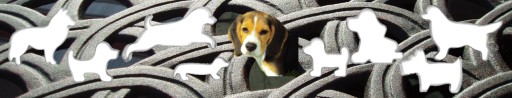 Forma na psa BASSET 5,3 cm, vykrajovačka na psa DOG