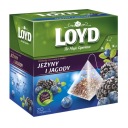 LOYD čaj Čučoriedky Černice pyramídy