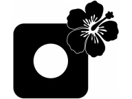 NÁLEPKA pod kontaktnú zásuvku SWITCH FLOWER do obývačky