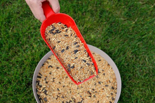 Naberačka, lopatka, dávkovač na dávkovanie krmiva, slnečnicových semienok, 0,5 kg
