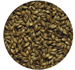 KARAMELOVÝ 100 Vikingský slad 1kg