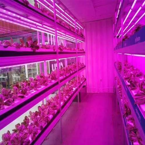led pás 5050 ip20 1m rastlina pestovanie rastlín 4:1