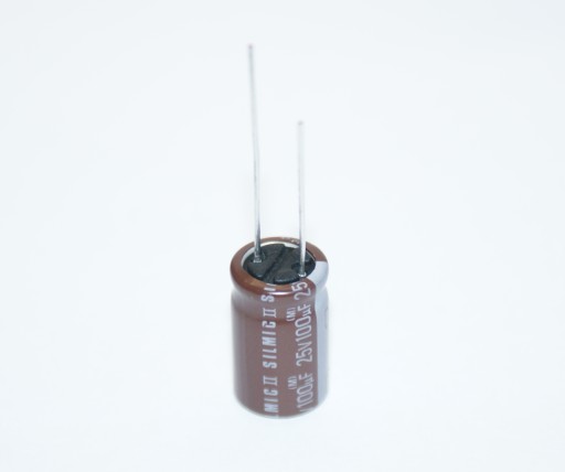 Audiofilský ELNA SILMIC II 100uF/25V 2 ks. (#152)