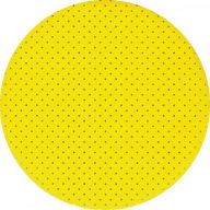 BRÚSNY PAPIER, DISK ŽIRAFA 225mm ŽLTÝ GR.100
