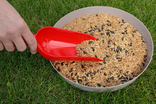 Naberačka, lopatka, dávkovač na dávkovanie krmiva, slnečnicových semienok, 0,5 kg