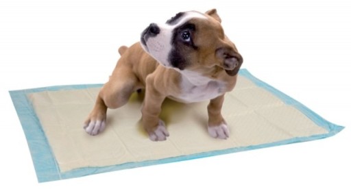 ABSORPČNÉ PODLOŽKY HYGIENICKÉ PODLOŽKY DOG 10 KS