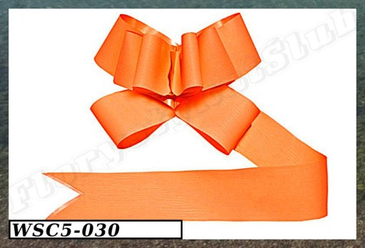 READY odnímateľné mašle svadobné prijímanie krstina 5cm/10ks 10 farieb
