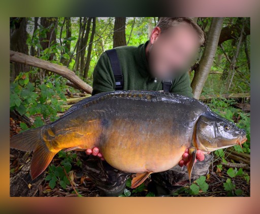 UZEMNÁ PODPORKA MISTRALL PROCARP