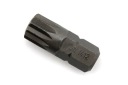UKONČENIE DRÁŽKY M12 12-SIGNÁLOVÝ BIT 10 x 30 mm XZN BIT