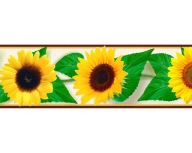 Deco Border 83 dekoratívna nástenná lišta