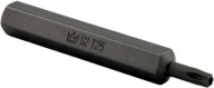 KONCOVÝ BIT 10MM TORX T25 x 75MM S2 S OTVOROM