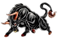 NÁLEPKY NA MOTORKY NORTHY BULL BULL