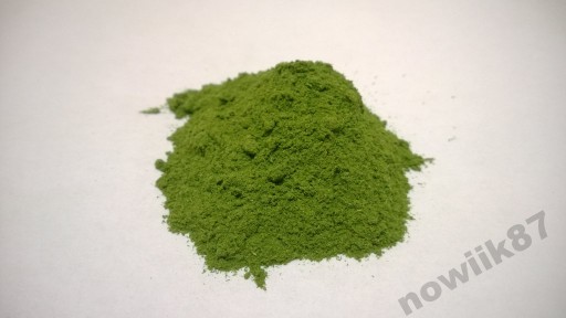 Mladý zelený jačmeň - 500g - Dary Podlasie