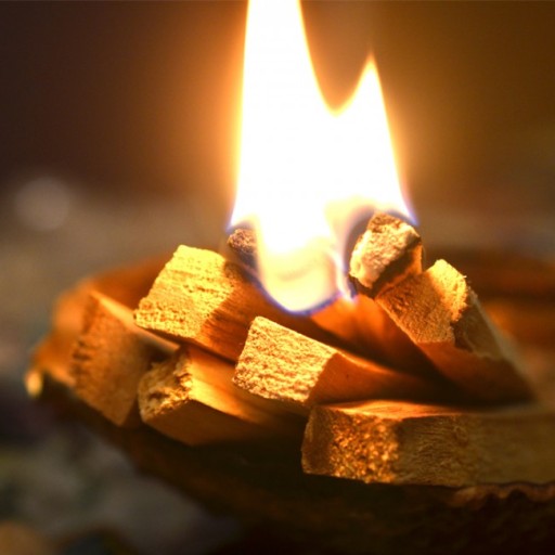 PALO SANTO WOOD CENSE - posvätný indický strom 25g