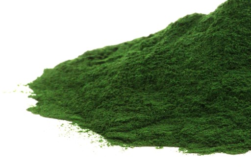 Bylina SPIRULINA PRÁŠKOVÁ (50g)