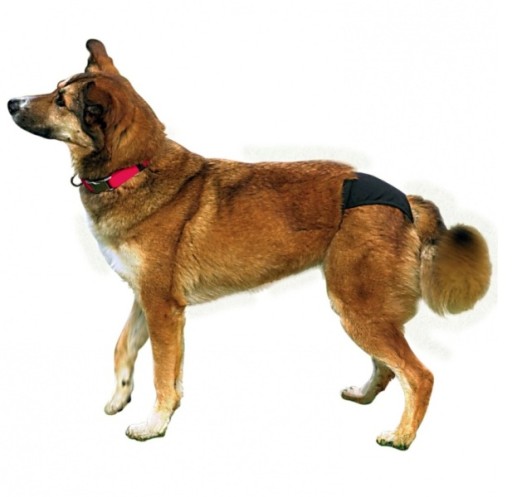 TRIXIE NOHAVICE PRE SÚČKY XL (60-70cm)