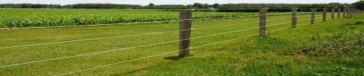 PASTUCH JEDNOPÁSKOVÝ KONEKTOR S KÁBLOM