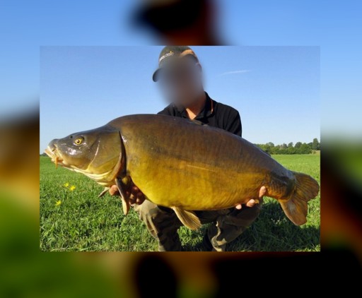 UZEMNÁ PODPORKA MISTRALL PROCARP