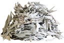 Šalvia biela Salvia Apiana I trieda 25g