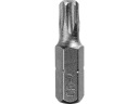 Hrot BIT TR 30 TORX STAR
