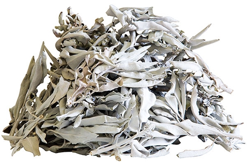 Šalvia biela Salvia Apiana I trieda 25g