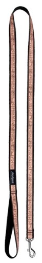 AMI PLAY LEASH NYLON TAPE NX 120cm / 2cm