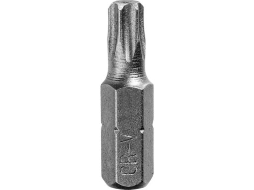 Hrot BIT TR 25 TORX STAR
