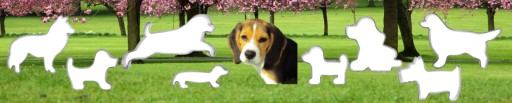 Forma na psa BASSET 5,3 cm, vykrajovačka na psa DOG