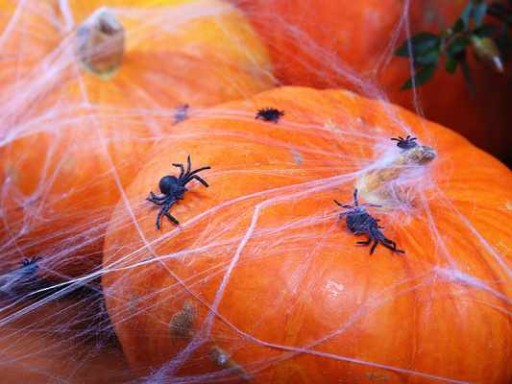 pavučina pavučina pavučina Halloween pavúky