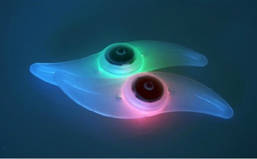 ŽIARENÝ KRYT KOLESA, LED SPOKS, BICYKLE