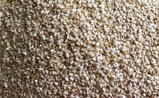 SEZAMOVÉ LÚPANÉ BIELE PRÉMIOVÉ prírodné sezamové semienka na pečenie SUSHI 250g