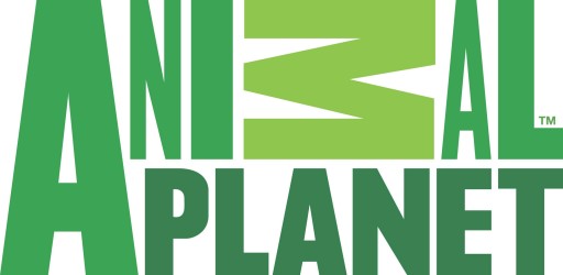 ANIMAL PLANET samica geparda s mláďaťom 387167 24h