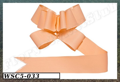 READY odnímateľné mašle svadobné prijímanie krstina 5cm/10ks 10 farieb